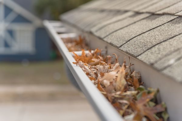 Leaf Barrier Installation in Brooksville